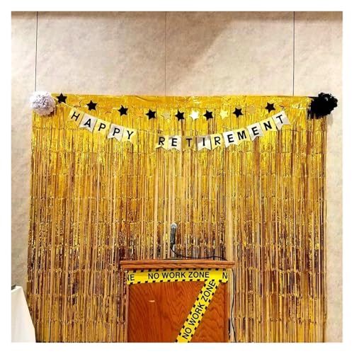 Fransenvorhang Dekorationen Backdrop, Lametta-Vorhang, 2 Stück, mehrfarbig, mehrere Größen, Folie, Glitzer, Fransen, Hintergrund-Dekor(Laser Silver,1x2m) von ZBORAVPIX