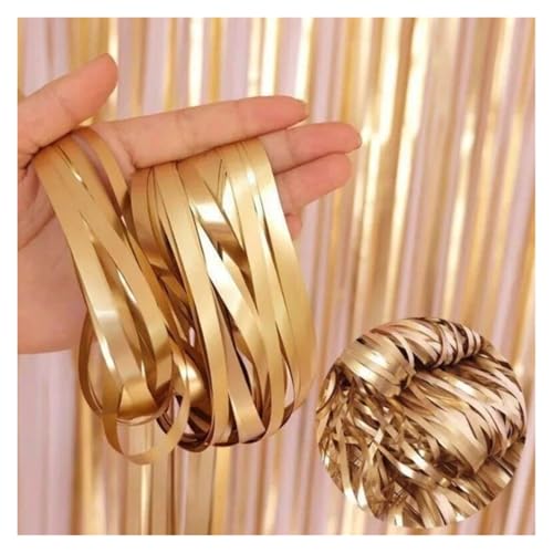 Fransenvorhang Dekorationen Backdrop, Lametta-Vorhang 2er-Pack 1x2m Mehrfarbig(Gold) von ZBORAVPIX