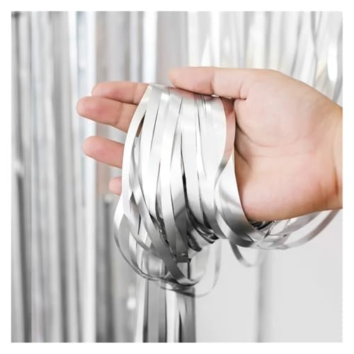 Fransenvorhang Dekorationen Backdrop, Lametta-Vorhang 2er-Pack 1x2m Mehrfarbig(Silver) von ZBORAVPIX