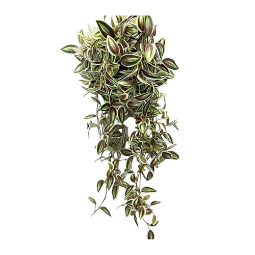 Künstliche Pflanzen Indoor， Künstliche Reben Seide Blätter Multicolor 75cm Hängende Pflanze Dekor for Haus Garten Hochzeit(75cmfyanmeiye) von ZBORAVPIX