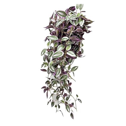 Künstliche Pflanzen Indoor， Künstliche Reben Seide Blätter Multicolor 75cm Hängende Pflanze Dekor for Haus Garten Hochzeit(75cmzyanmeiye) von ZBORAVPIX