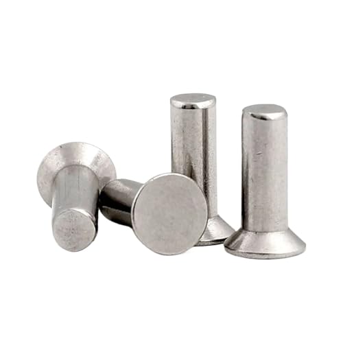 Vollniete, Vollnieten Aluminiumnieten M2 M2.5 M3 M4 M5 M6 M8 4-60 mm 100 Stück gemischte Packung GB869(4mm,10pcs M6) von ZBORAVPIX