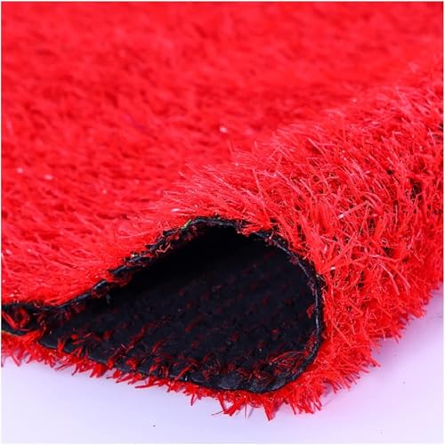 ZBORAVPIX Kunstrasen Rasenmatte， 2cm gefälschte Faux Gras Rasen Garten Rasen Matte Hinterhof Rasen for Garten Rasen Landschaft Terrassen(100x200cm) von ZBORAVPIX