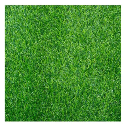 ZBORAVPIX Kunstrasen Rasenmatte， Teppich Outdoor Gras Balkon Outdoor Rasen Matte Synthetischer Rasen 20MM Hohe Dichte Garten Rasen(4x5m) von ZBORAVPIX
