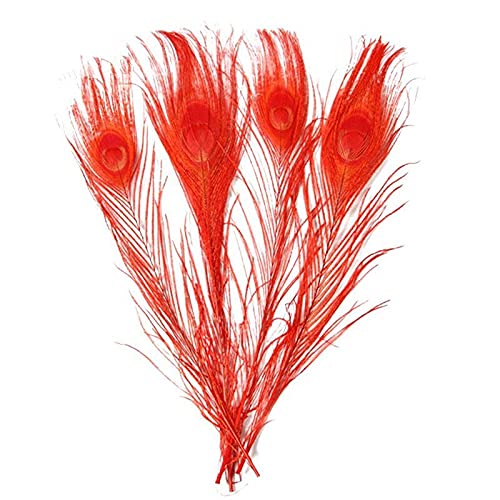 ZBORAVPIX Pfauenfedern, 10 Stück mehrfarbige Pfauenfedern 25–30 cm 10–12 Zoll for Basteln(Orange) von ZBORAVPIX