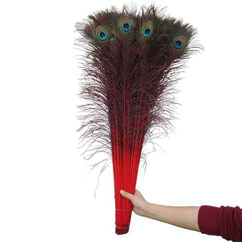 ZBORAVPIX Pfauenfedern, Pfauenfedern, Mehrfarbig, 70–80 cm, 50 Stück(Red) von ZBORAVPIX