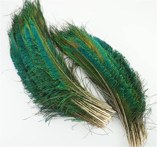 ZBORAVPIX Pfauenfedern, Pfauenschwertfedern Natur Mehrere Größen zur Dekoration(100Pcs) von ZBORAVPIX