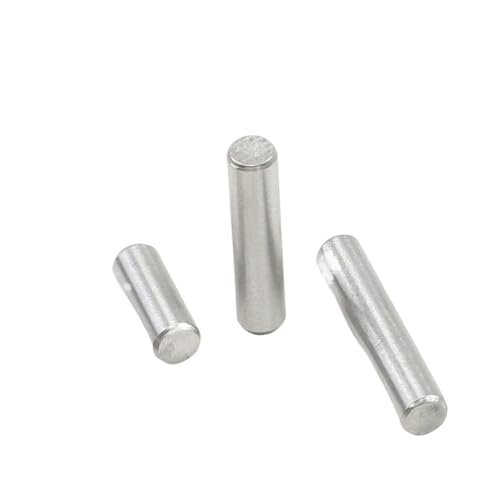 Zylindrische Dübelnägel Zapfen, Passstifte aus Edelstahl M5 M6 M8 M10 25-50 mm Packung mit 3-15 Stück(40mm,M6 10pcs) von ZBORAVPIX