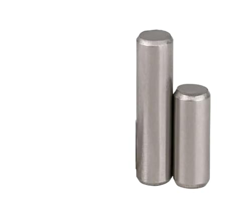 Zylindrische Dübelnägel Zapfen, Solider zylindrischer Stift-Positionierungsdübel 304 SS Silberweiß Mehrere Größen Packung mit 149(90mm,M3 20pcs) von ZBORAVPIX
