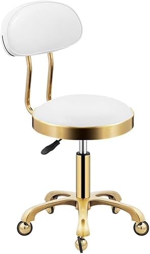 ZCEDZYSW Salonhocker aus PU-Leder mit Rollen und Rückenlehne, höhenverstellbar, für Nageltechnik, Tattoos (E) von ZCEDZYSW
