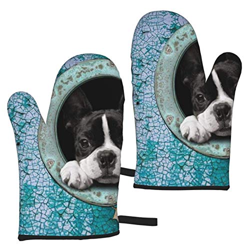 Ofenhandschuhe Boston Terrier Ofenhandschuhe, hitzebeständige Kochhandschuhe Mikrowellen-Backhandschuhe (1 Paar) von ZCHW