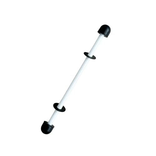 Keramik Welle Für Intex Pure Spa Hot Tub Impeller Pumpe Fix E90 Fehler Spa Pumpe Impeller Welle Ersatz (1Pcs Keramik Welle mit 2 Kappen Kommt mit 2pcs Dichtungen) von ZCLYHT