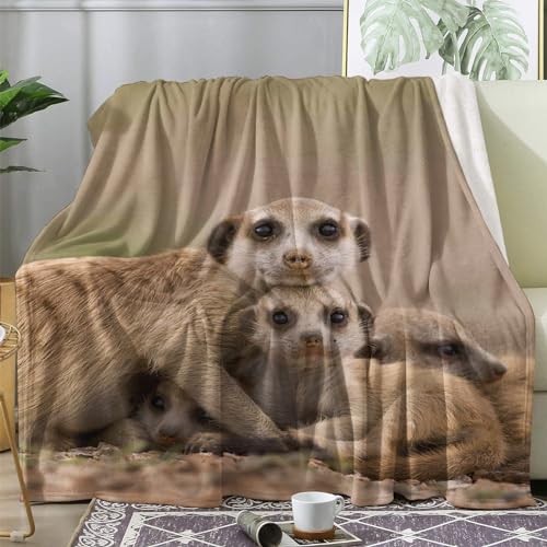 ZDABAOEC Kuscheldecke Flauschig Erdmännchen Decke, Fleecedecke 150x200, Sofadecke & Couchdecke, Weiche Kuschelige Wohndecke Blanket, XL Decken für Sofa Couch von ZDABAOEC