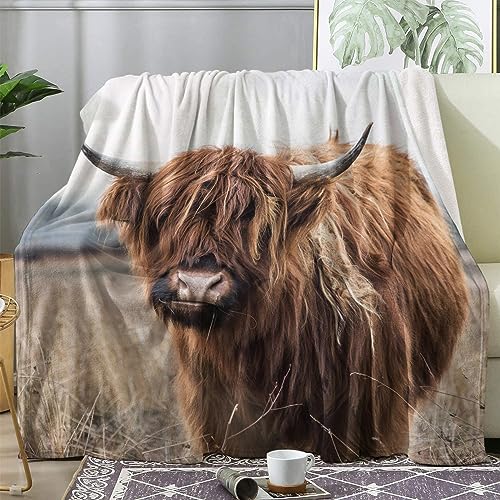 ZDABAOEC Kuscheldecke Flauschig Hochlandrind Decke, Fleecedecke 230x270, Sofadecke & Couchdecke, Weiche Kuschelige Wohndecke Blanket, Riesig Groß Decken für Sofa Couch von ZDABAOEC