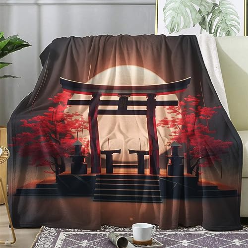 ZDABAOEC Kuscheldecke Flauschig Japanische Decke, Fleecedecke 230x270, Sofadecke & Couchdecke, Weiche Kuschelige Wohndecke Blanket, Riesig Groß Decken für Sofa Couch von ZDABAOEC