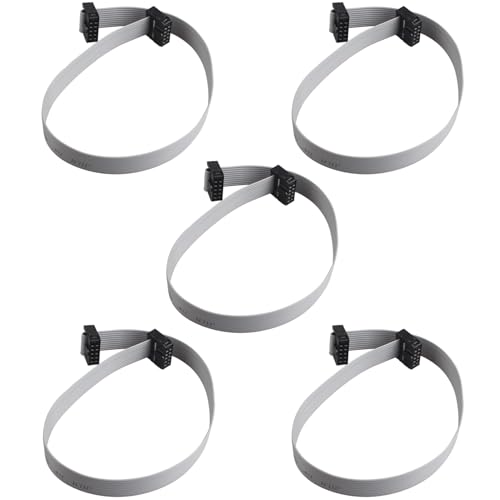 ZDE 5 Stück 2.54mm Pitch 2 Zeile 10 Pin Buchse zu Buchse IDC Flachbandkabel Jumper Kabel 30cm Lang von ZDE