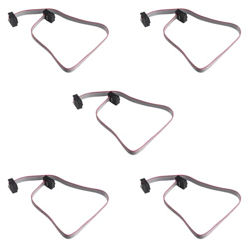 ZDE 5 Stück 2.54mm Pitch 2 Zeile 6 Pin Buchse zu Buchse IDC Flachbandkabel Jumper Kabel 30cm Lang von ZDE