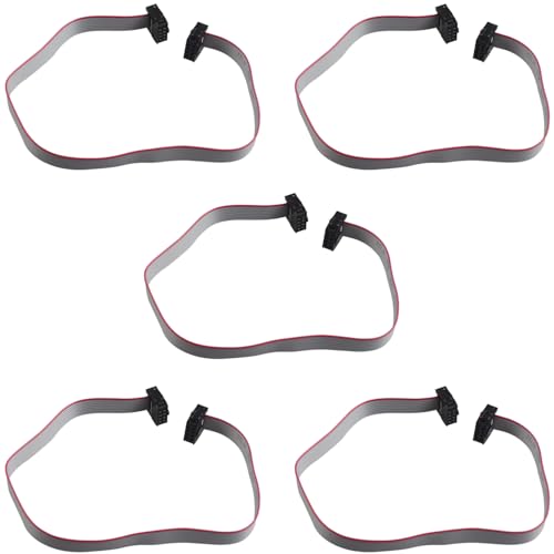 ZDE 5 Stück 2.54mm Pitch 2 Zeile 8 Pin Buchse zu Buchse IDC Flachbandkabel Jumper Kabel 30cm Lang von ZDE