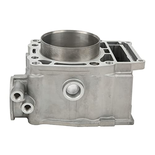 ZDETGU 16pcs 500 Piston Zylinder Top End Kit 92mm 3087224 Kompletter Austausch für ATP 500 2004 2005 von ZDETGU