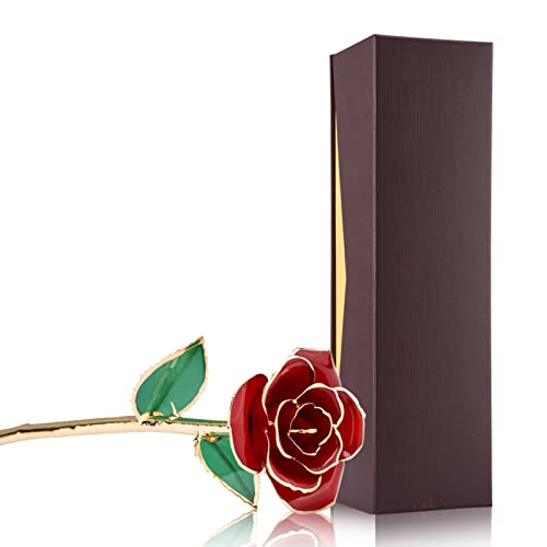 ZDETGU Love Forever STEM 24K Gold Folienverkleidung Rot Rose Blume Valentinstag von ZDETGU