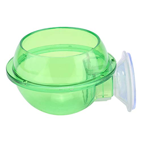ZDETGU Vielseitige Transparente Plastik -Feeder -Schüssel mit Saugbecher für Eidechsen und Chamäleons von ZDETGU