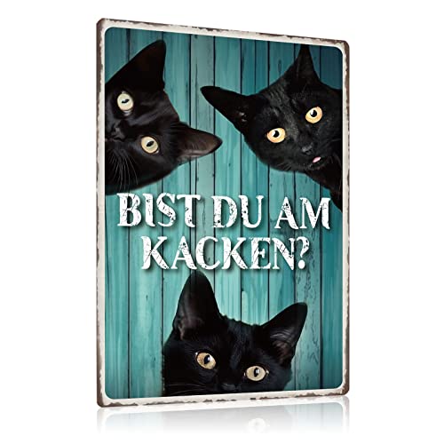 ZDFDC Schwarze Katze Vintage Blechschilder mit Lustig Spruch - BIST DU AM KACKEN - Retro Katzen Metall-schild Poster Wanddeko für Bade-zimmer WC Toilette Gästebad klo 20x30cm von ZDFDC