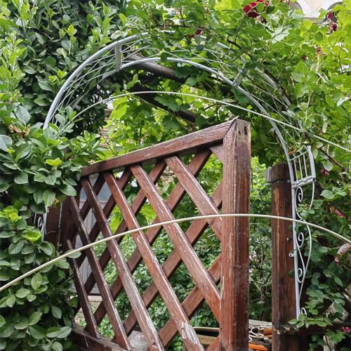 Metall-Gartenbogen-Spalier zur Wandmontage – perfekte Rose für Kletterpflanzen, Torbogenfenster und Türeingänge von ZDFTGKM