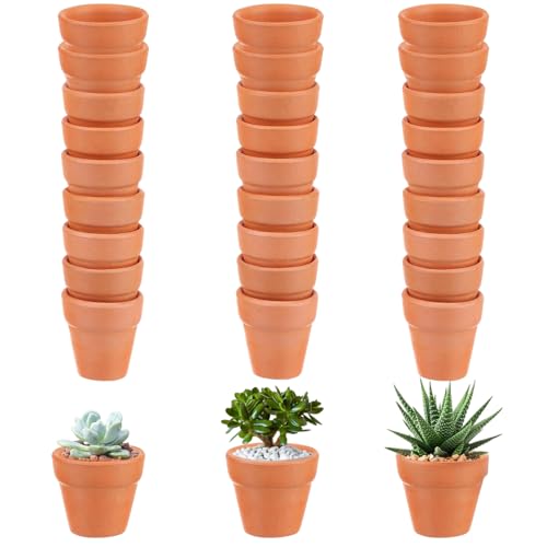 ZDNT 30 Stück Tontöpfe Klein,Tonpflanztöpfe 3 x 3 cm,Terrakotta Topf,Mini Blumentopf Terrakotta,Pflanztopf Wiederverwendbar,Mini Terrakotta Tontöpfe mit Abflussloch, für Innen Außenbereiche Pflanzen von ZDNT