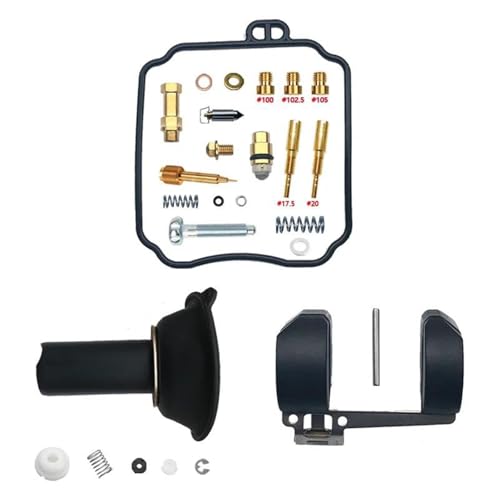 ZDSMYXGS Vergaser-Reparatursatz Motorradvergaser-Reparatursatz Für Suzuki Intruder 125 VL125 2000-2007 Vergasermembran Schwimmer Vergaserteile Vergaser-Reparatursätze(Farbe 5) von ZDSMYXGS