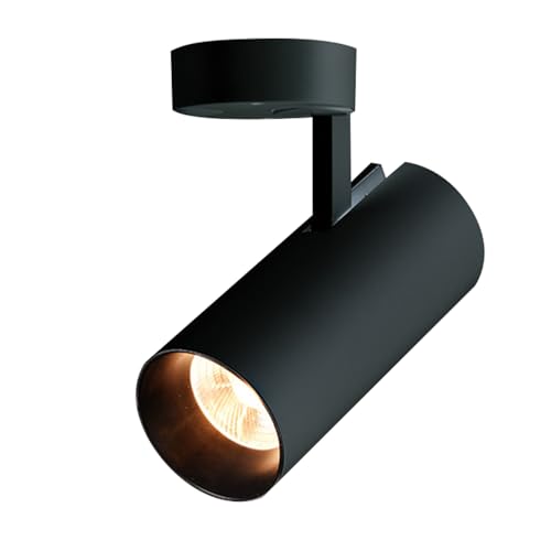 Recessed Downlight,Ceiling Spot Lights,30W LED Spotlight Adjustable Ceiling Spot Light Surface Mount Accent Spotlights 350°+90° Rotation Ceiling Downlight(Black3000k) von ZDUD
