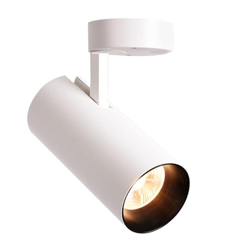 Recessed Downlight,Ceiling Spot Lights,30W LED Spotlight Adjustable Ceiling Spot Light Surface Mount Accent Spotlights 350°+90° Rotation Ceiling Downlight(White6000k) von ZDUD