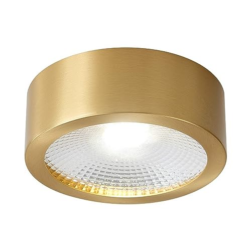 Recessed Downlight,Ceiling Spot Lights,LED Spotlight Surface Mounted Downlight Copper Round Ceiling Light Ø12cm Ceiling Downlights Hallway Lighting Fixture Ceiling Spotlights(6000k3w) von ZDUD
