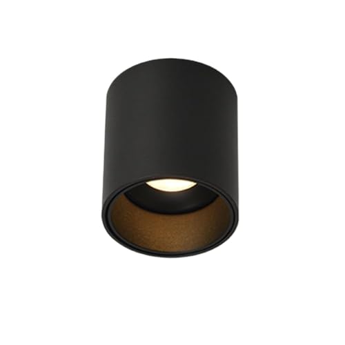 ZDUD Recessed Downlight,Ceiling Spot Lights,LED Ceiling Spotlight Cylinder Flush Mount Downlight 2.83in Directional Ceiling Spot Light Aluminum Housing Ceiling Spotlights(Svart6000k,7W) von ZDUD