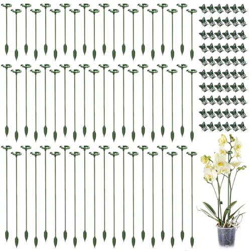 ZEAYEA 60 Stück Pflanzenstützstäbe mit 60 Stück Pflanzenclips, Kunststoff, einzelner Stiel, Pflanzkäfigstützring, Gartenblumen-Stützreifen für drinnen und draußen, Orchidee, Amaryllis, Tomate von ZEAYEA