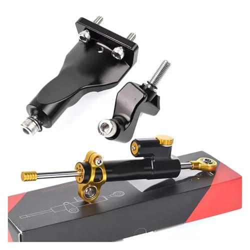 ZEEBQHKLW Motorradlenker Stabilisator Für Y&amaha R25 R3 2021-2024 Motorrad Vorderrad Lenkung Dämpfer Basis Stabilisator Lenkung Stoßdämpfer Montage Halterung Stützsatz(10) von ZEEBQHKLW