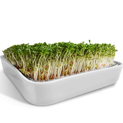 ZELLGUT® Kressesieb, Kresse Anzuchtschale, Keimschale - 12cm - Keramikschale + Edelstahlsieb - Keimgerät für die Anzucht von Microgreens, Keimsaaten von ZELLGUT