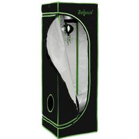 Grow Tent 40 x 40 x 160 cm schwarz/grün Pflanzenzucht Indoor - Zelsius Grow Tent 40 x 40 x 160 cm schwarz/grün Pflanzenzucht Indoor - Zelsius von ZELSIUS