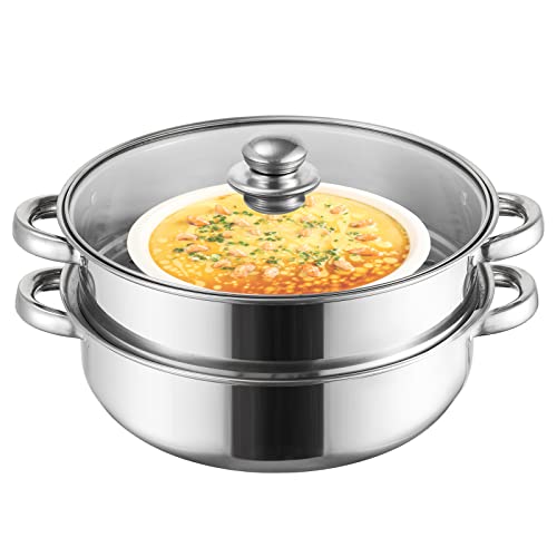 ZENFUN Dampfgarer zum Kochen, 2-stöckiges Stapel- und Dampftopf-Set mit Glasdeckel, Edelstahl-Doppelgriff, 27,9 cm (verdickt) von ZENFUN
