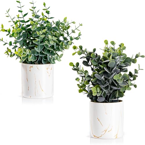 ZENIDA 2 Pack künstliche Eukalyptus-Pflanzen, weiße Keramik Töpfe Faux Greenery Dekor mit verschiedenen Blättern Stile, kleine gefälschte Topfpflanzen für Tisch Schreibtisch nach Hause Bad Büro Dekor von ZENIDA