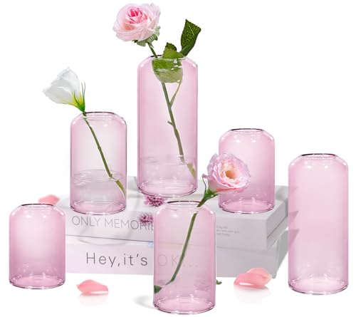 ZENS Bud Vasen 6er Set Rosa Klar Kleine Glasvase für Blumen Moderne mundgeblasene Zylinderglasvase für Hochzeit Empfang Tafelaufsätze Wohnzimmer Deko von ZENS