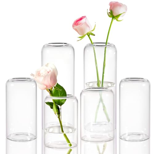 ZENS Kleine Vase Glas für Tischdeko,Modern Deko Vasen Set 6er Zylinder Knospe Blumenvase mit Schmalem Mund für Hochzeit,Handgeblasen Glasvase für Heimdekoration Mittelstück von ZENS