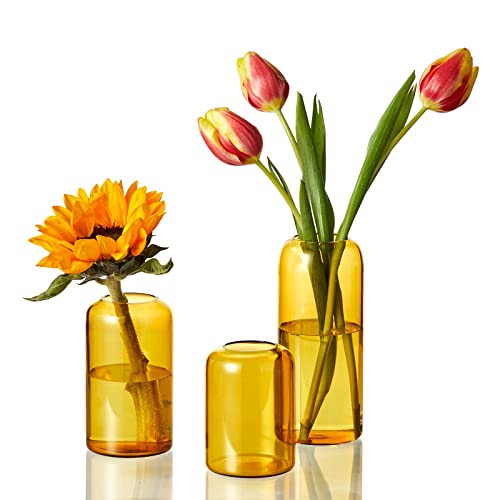 ZENS Glas Vase Deko, Klein Vasen Set 3er, Modern Amber Blumenvase Zylinder Knospe Vase mit Schmalem Mund für Hochzeit, Handgeblasen Tisch für Heimdekoration Mittelstücke von ZENS