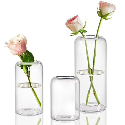ZENS Kleine Vase Glas für Tischdeko,Deko Vasen Set 3er Zylinder Knospe Blumenvase mit Schmalem Mund für Hochzeit,Handgeblasen Glasvase für Heimdekoration Mittelstücke von ZENS