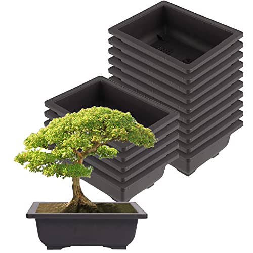 ZEONHEI 15 Stück Groß Bonsai Trainingstöpfe, 22,5x16,5x7,5cm Pflanzen Anbau Kunststoff Bonsai Topf, Schale Pflanzgefäß Blumentopf für Garten Hof Wohnen Zimmer BalkonTopfpflanzen von ZEONHEI