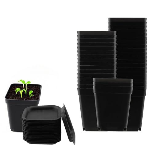 ZEONHEI 30 Stück 7cm Anzuchttöpfe Pflanztöpfe, Kleine Pflanztöpfe mit Blumentopf Tablett, Plastik Vierecktopf Quadratischer Pflanzentopf Blumentöpfe für Sukkulenten Kleine Topfpflanzen, Schwarz von ZEONHEI