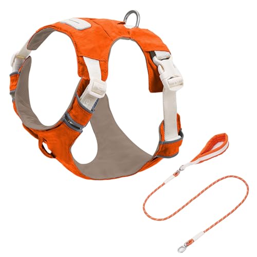 Abnehmbarer Hundekabelbaum Und Leads Einstellbare Reflektierende Weste Mit Bequemem Nylonseil Für Die Sicherheit Freien Abnehmbare Haustierkabelbaum von ZEPFJHE