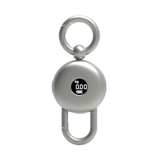 Taschengröße Keychain Electronic Skala Legierung Bauton LCD Waage Gerät Für Gepäcksöbergeschäfte von ZEPFJHE