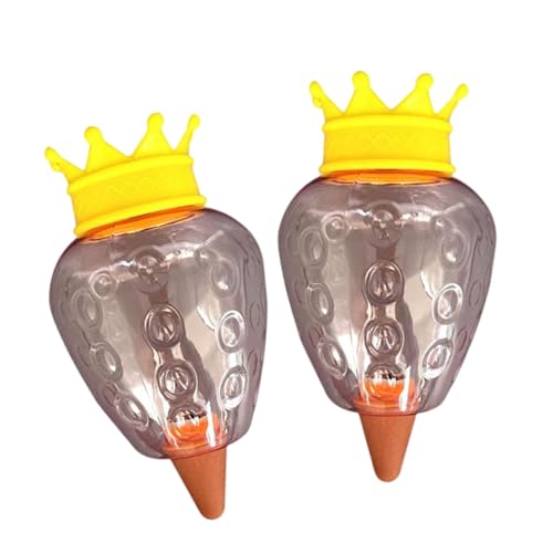 ZEPFJHE 2pcs Pflanzenwässerungskugeln Herzform Wässerungsbirnengeräte Pflanzenlampen Zimmerpflanzen Globes Dripter Innen/Outdoor Automatische Lösung von ZEPFJHE