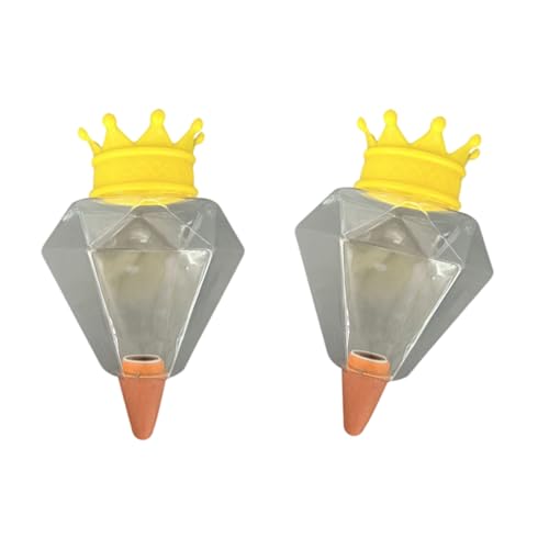 ZEPFJHE 2pcs Pflanzenwässerungskugeln Herzform Wässerungsbirnengeräte Pflanzenlampen Zimmerpflanzen Globes Dripter Innen/Outdoor Automatische Lösung von ZEPFJHE