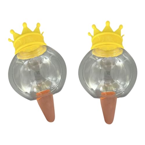 ZEPFJHE 2pcs Pflanzenwässerungskugeln Herzform Wässerungsbirnengeräte Pflanzenlampen Zimmerpflanzen Globes Dripter Innen/Outdoor Automatische Lösung von ZEPFJHE